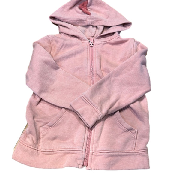 Old Navy Other - Old navy 4 t hoodie zip up good condition. Dinosaur